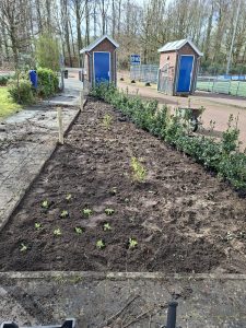 Beplanting weer opgeknapt 2